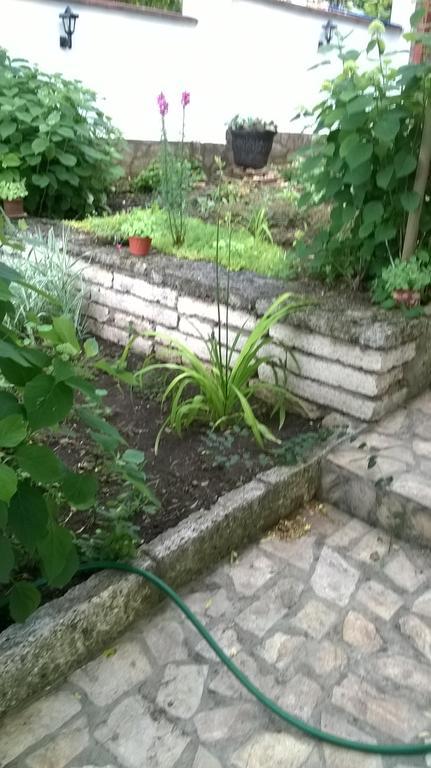Villa Elina Balchik Ngoại thất bức ảnh