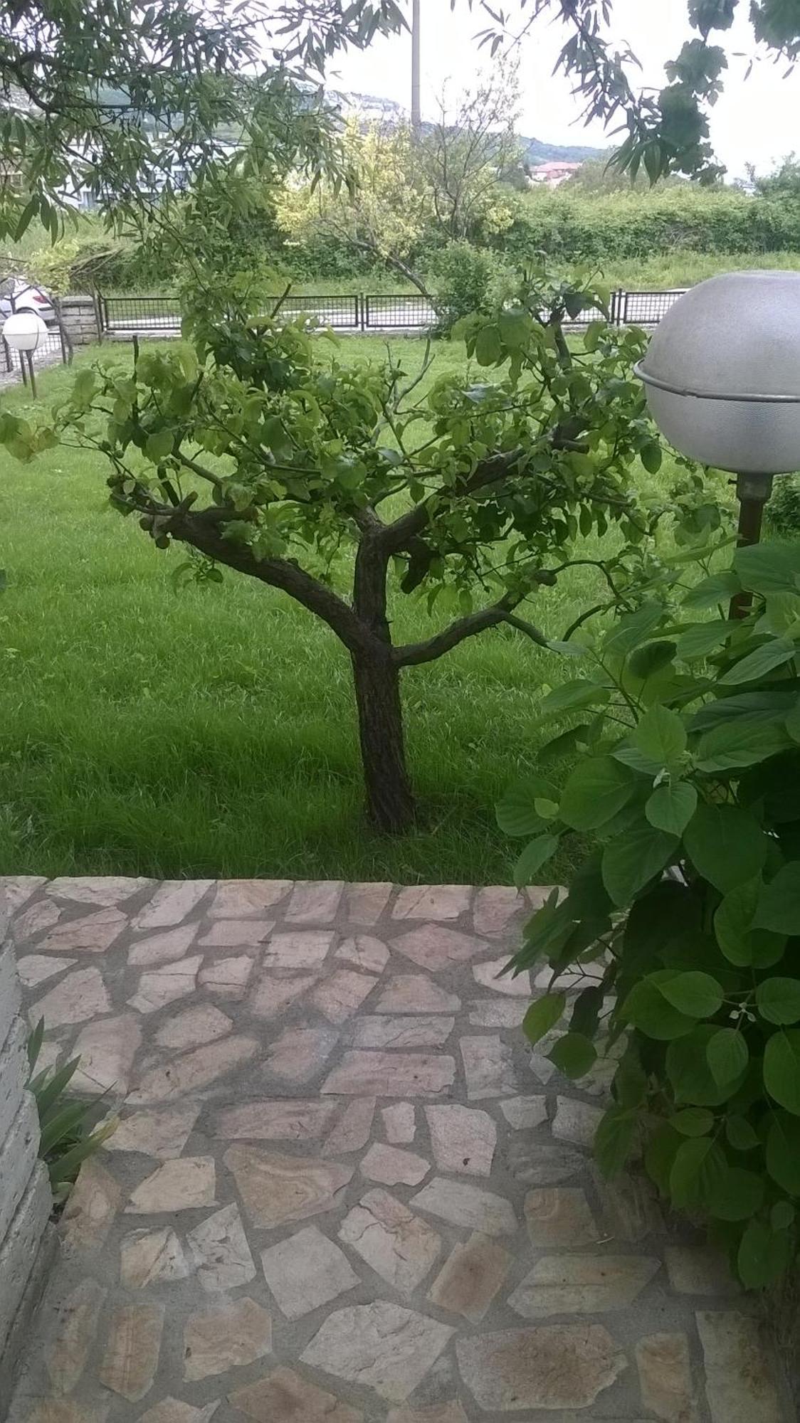 Villa Elina Balchik Ngoại thất bức ảnh